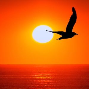 Meet your Posher, Gail